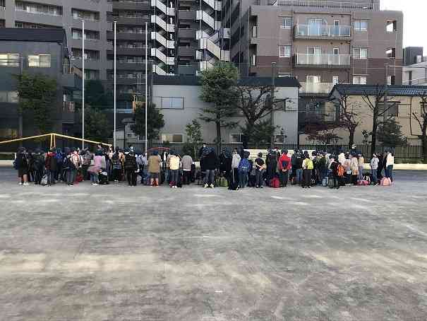 image_50411777