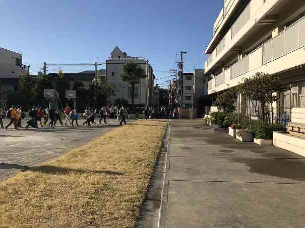image_50442753